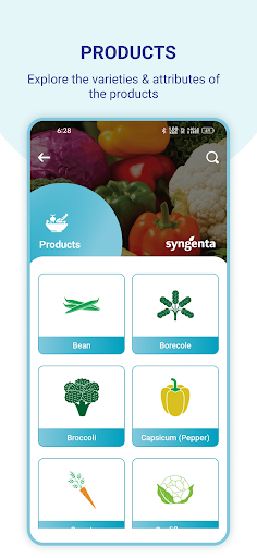 My Seeds Syngenta Screen 3