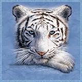 ЭнциклоРедия Животных icon