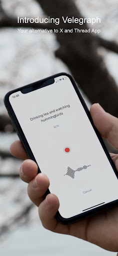 Android application Velegraph: A Free Speech App screenshort