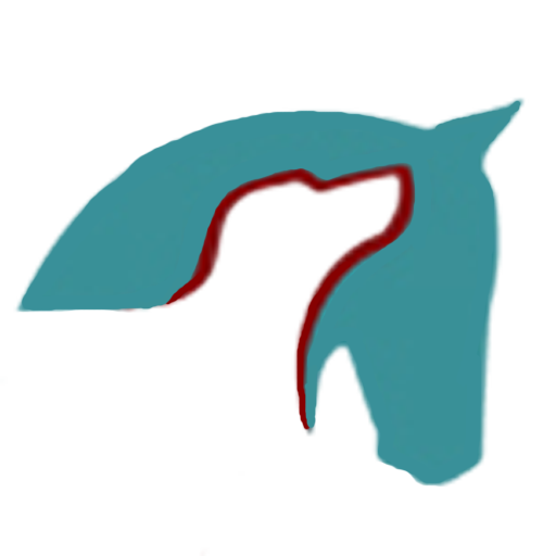PhotonicHealth Horse Acupoint