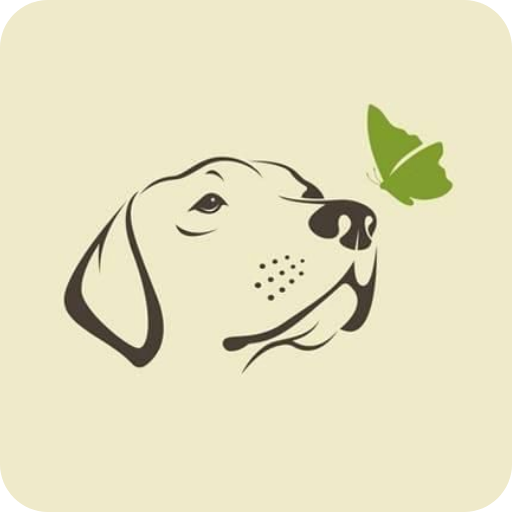 הברירה הטבעית דרום