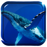 Moby Dick Live Wallpaper icon