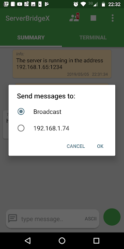 Server Bridge X TCP Server