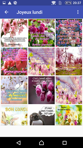 Une semaine merveilleuse jours