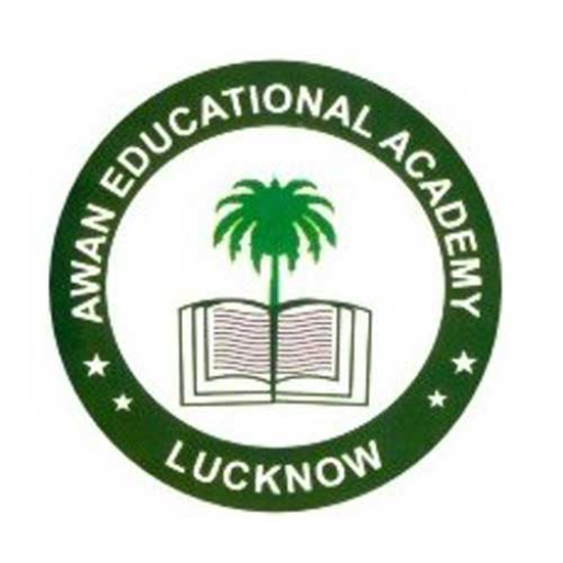 Awan Educational Academy logo