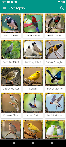 Suara Burung Trucukan Pikat Screen 3