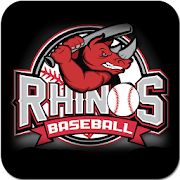 Baseball Logo Ideas