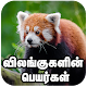 விலங்குகள் பெயர்கள் Animals Names English to Tamil विंडोज़ पर डाउनलोड करें