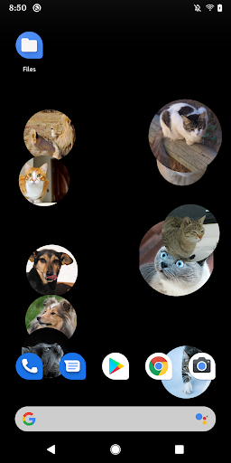 Android application Cat LWP screenshort
