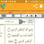 Quran Word By Word
