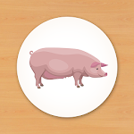 Cover Image of Tải xuống Animal Card Matching 1.1.0 APK