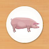 Animal Card Matching icon