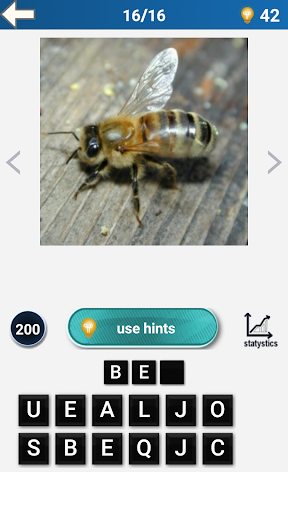 Guess The Animal -  Quiz