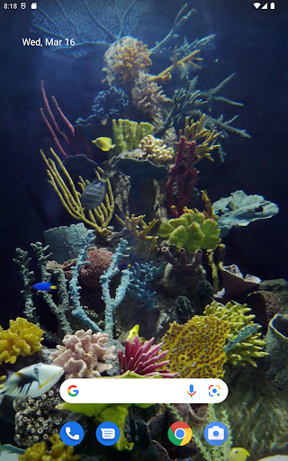 Android application Video Wallpaper screenshort