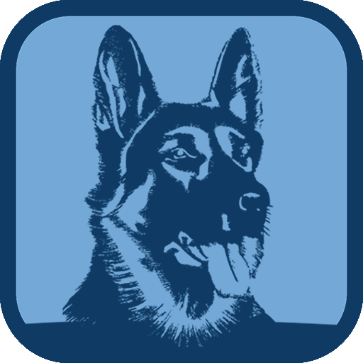 RAM K9 Training logo