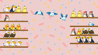 Game screenshot Bird Sort Quest apk download