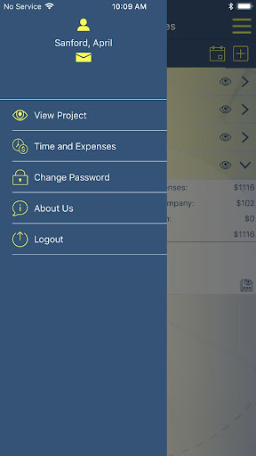 LEI Project Tracker Screen 3