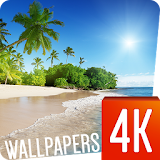 Summer Wallpapers 4k icon