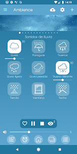 Vista previa de la aplicación