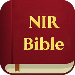 NIR Bible: Download & Review