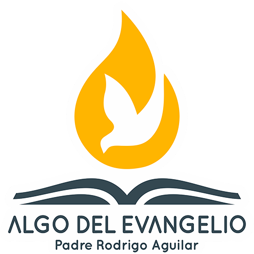 Android application Algo del Evangelio screenshort