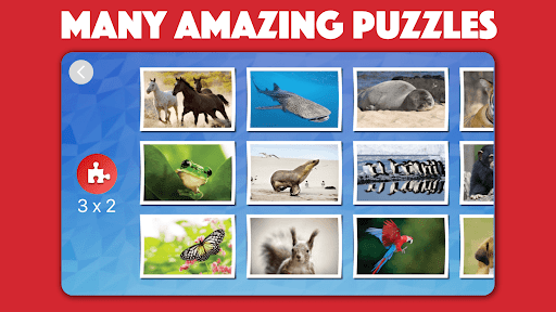 Kids animal jigsaw puzzles 1