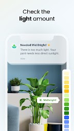 Plant App - Plant Identifier