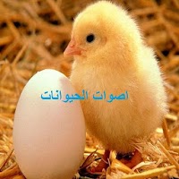 اصوات الحيوانات Animal sounds