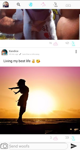 dog.0 Screen 3