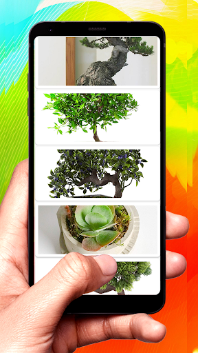 Bonsai Design Ideas Screen 2