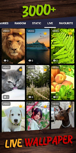 online wallpaper Screen 3