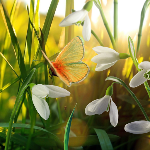 Spring Live Wallpaper 1.0.3 Icon