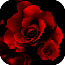 Gambar ikon Roses Live Wallpaper