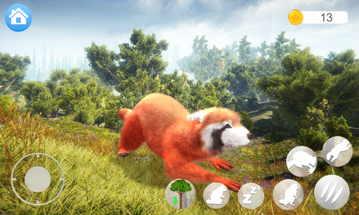 Android application Talking Raccoon screenshort