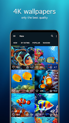 Screenshot of Fish Wallpapers PRO