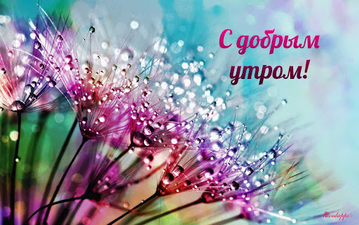 Доброе утро & Добрый вечер Screen 3