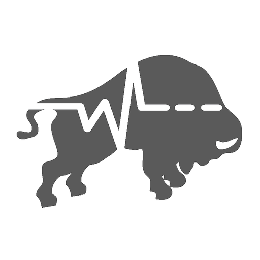 BISOM SSE logo