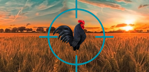 Crazy Chicken Hunt