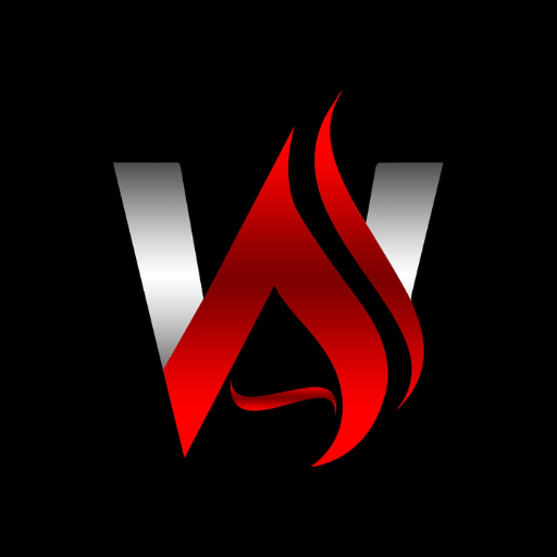 Mr Wagdy logo