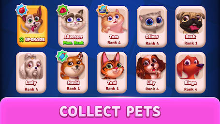 Solitaire Pets - Classic Game