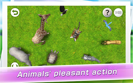 REAL ANIMALS HD Screen 3
