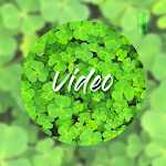 Green video wallpapers Apk
