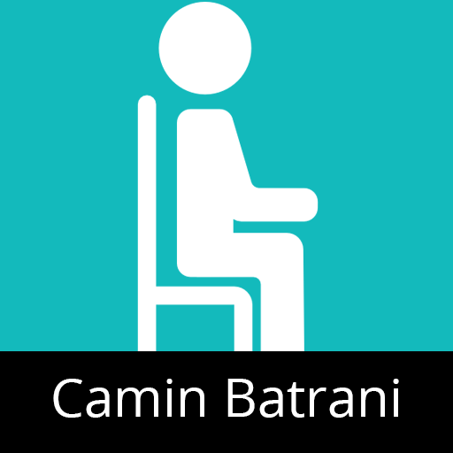Camin Batrani  Icon