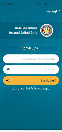Egyptian Ministry of Finance Screen 2