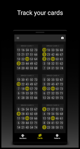 Snap Bingo Caller & Verifier screenshot 3