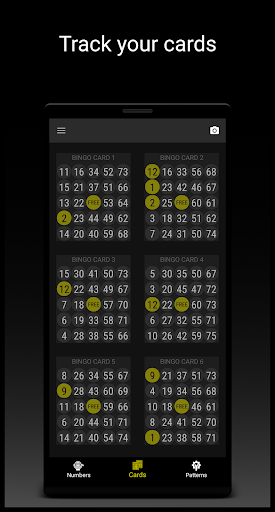 Snap Bingo Caller & Verifier Screen 3