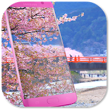 Pink Sakura Live Wallpaper icon