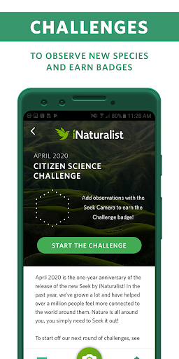 Seek by iNaturalist Detailed screenshots
