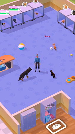 Game screenshot Strays Paradise apk download