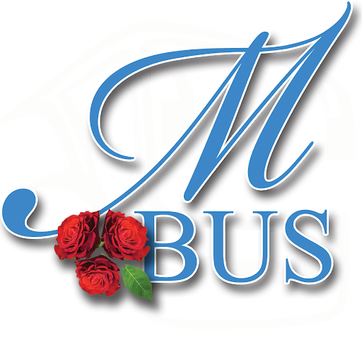 Android application Mattera Bus Ischia screenshort